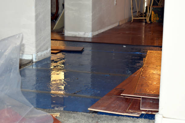 Professional Basement Flood Cleanup technician working in Jasper, MI